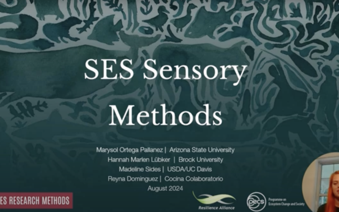 SES Sensory Methods: A Group of Methods to Further Integrate Embodied Knowledge in Sustainability Science