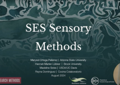 SES Sensory Methods: A Group of Methods to Further Integrate Embodied Knowledge in Sustainability Science