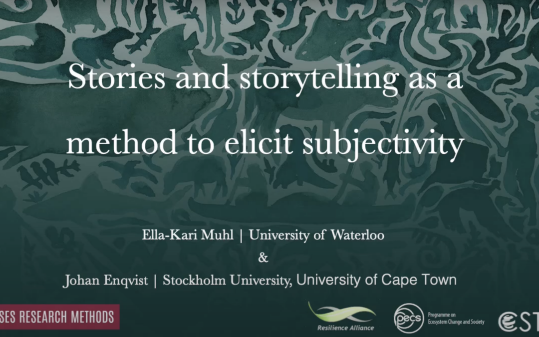 Stories and Storytelling as a Method to Elicit Subjectivity