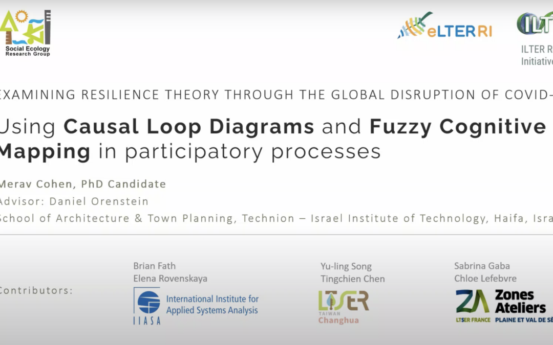 Using Causal Loop Diagrams and Fuzzy Cognitive Mapping in Participatory Processes