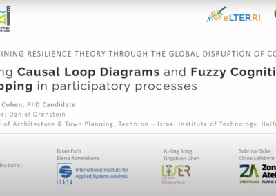 Using Causal Loop Diagrams and Fuzzy Cognitive Mapping in Participatory Processes