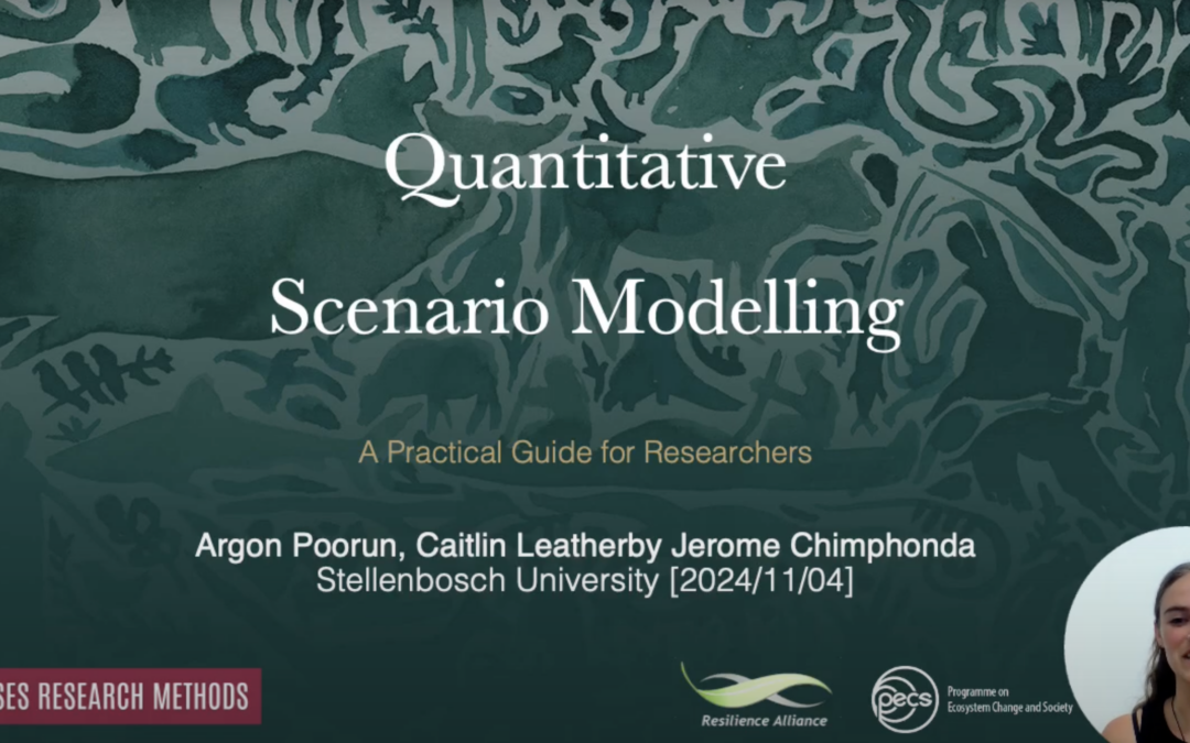 SES Methods Tips & Tricks: Quantitative Scenario Modelling