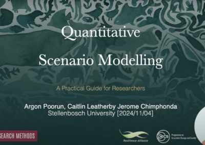 SES Methods Tips & Tricks: Quantitative Scenario Modelling