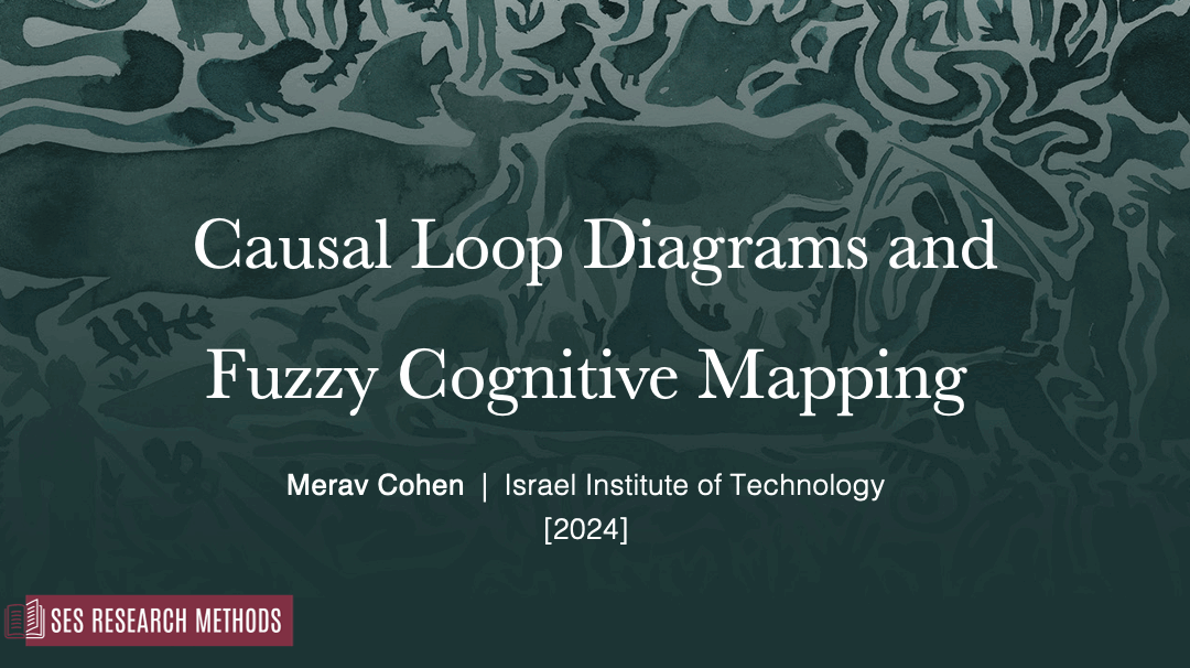 Using Causal Loop Diagrams and Fuzzy Cognitive Mapping in Participatory Processes