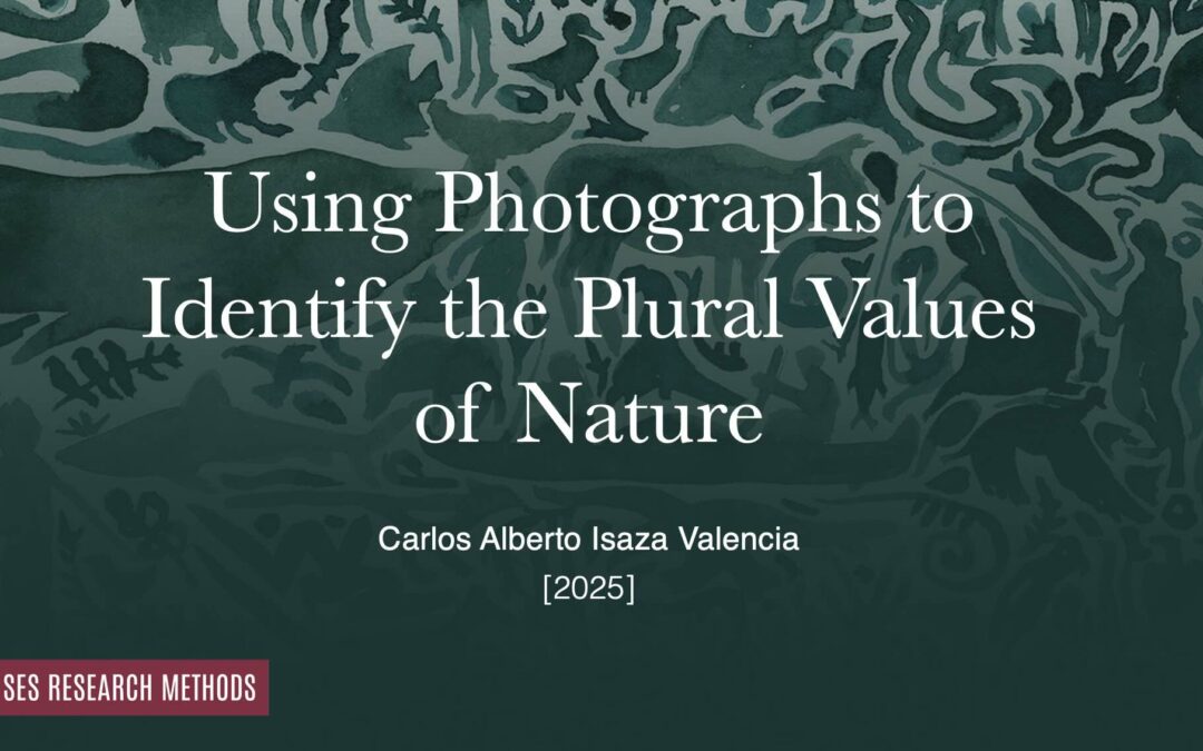 Using Photographs to Identify the Plural Values of Nature