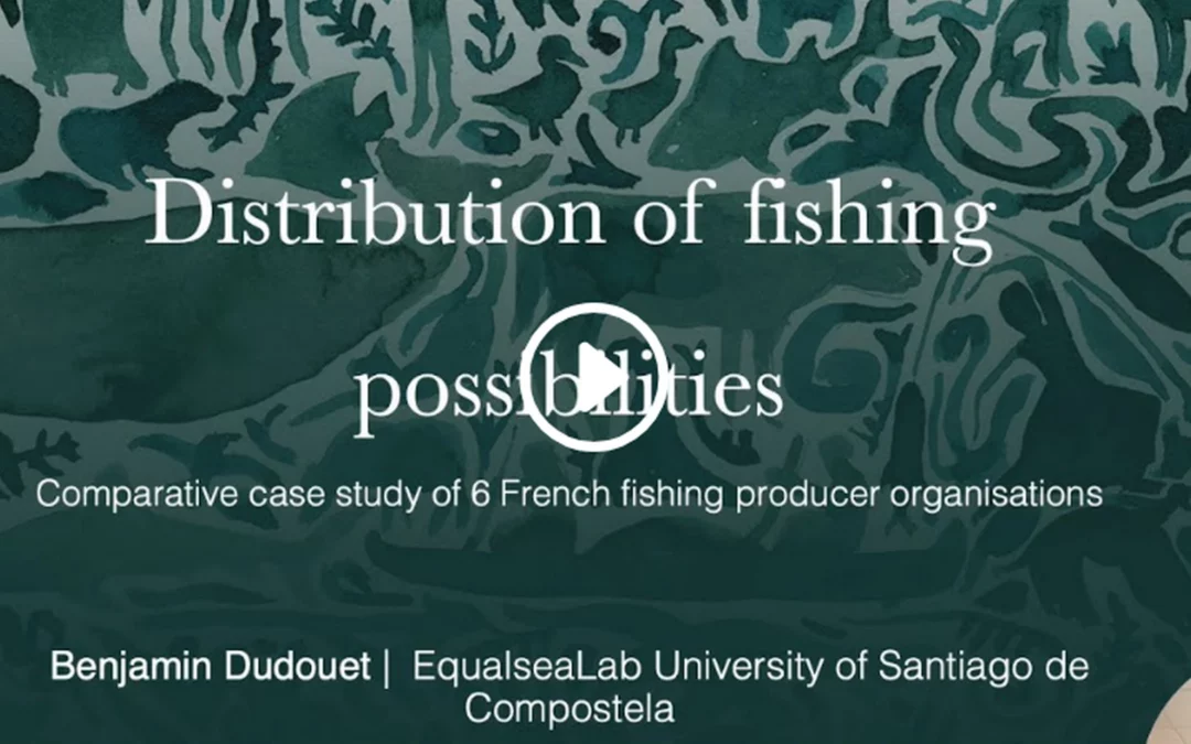 Comparative case study analysis: Comparison of 6 fishing producer organizations